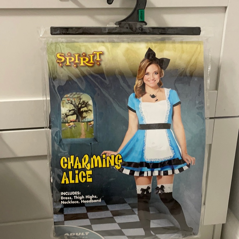 Halloween Charming Alice Costume Adult